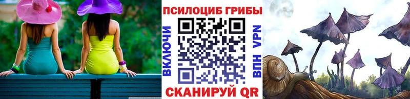 Галлюциногенные грибы прущие грибы  Верхоянск 